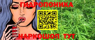 СК Абинск